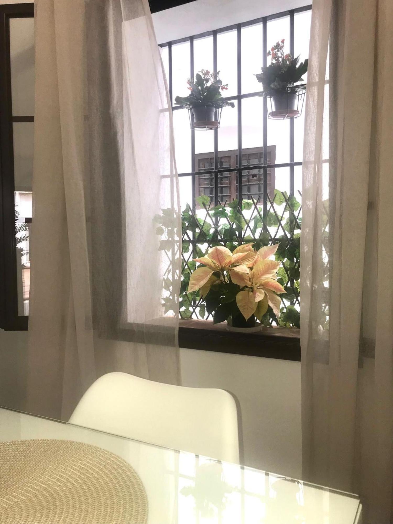 Apartamento El Museo Эсиха Экстерьер фото